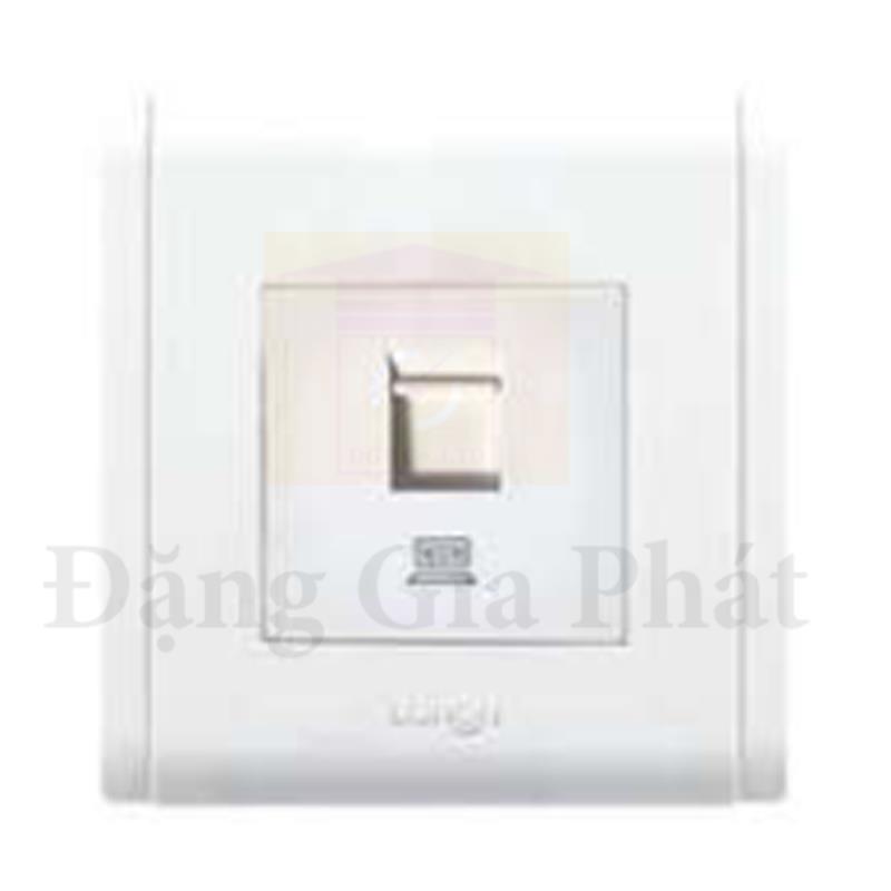 Ổ cắm vi tính RJ45